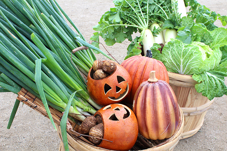 潮来産の野菜