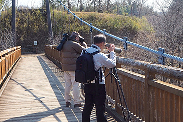 shdn方波見守一④