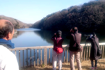 shdn方波見守一③