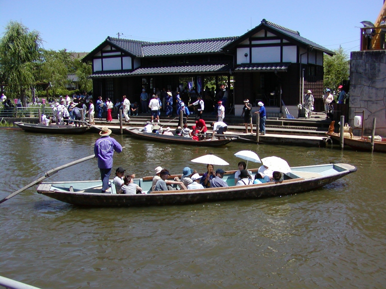 あやめ関係 (43)