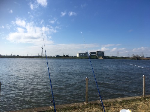 【ファミリー鯉釣り体験教室開催！】